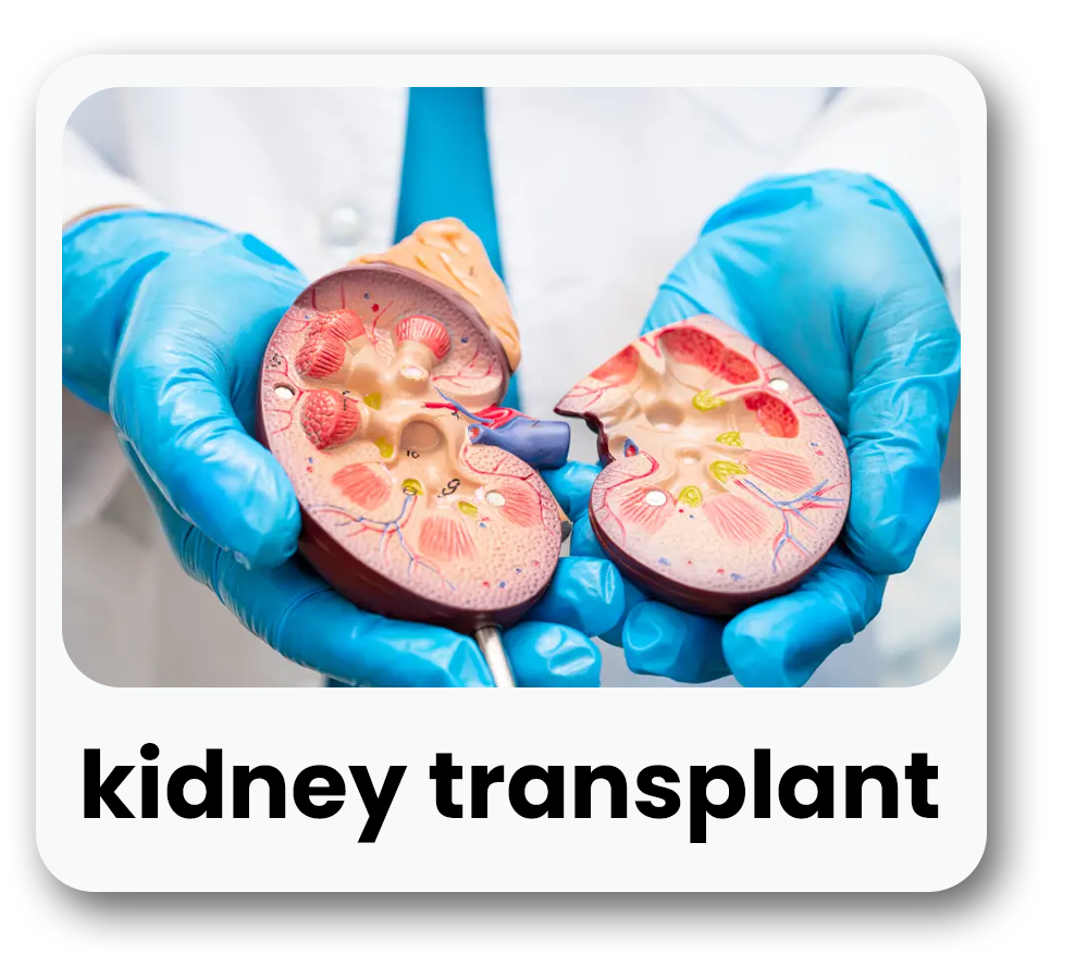 kidney transplant